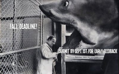 2014 BlueCat Screenplay Competition Fall Deadline: September 1st