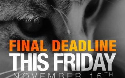 2014 Final Deadline: Friday, November 15th @ Midnight PST