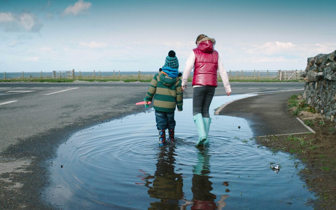 BlueCat_SFF_Spinosaurus