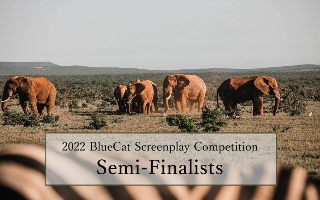 2022 semi-finalists