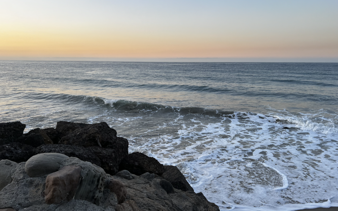 Screen Shot 2023-05-09 at 3.08.03 PM