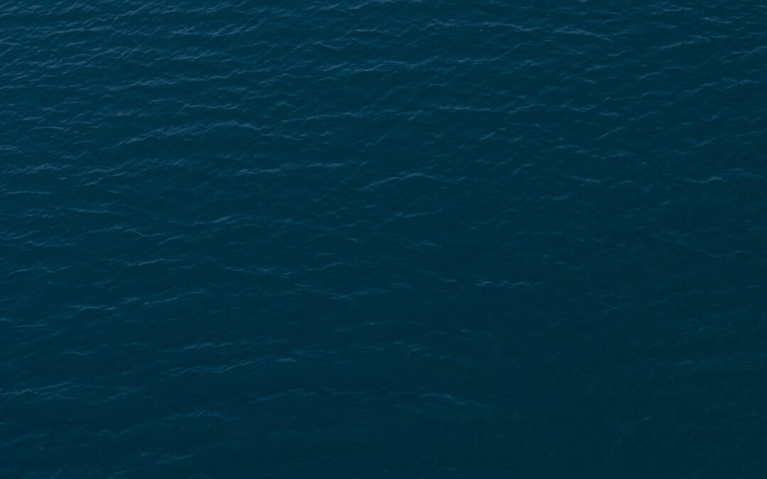 pexels-mehmet-ali-turan-5730197