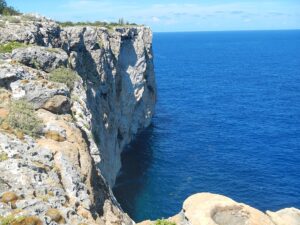 Goalpost: BlueCat's Writing Challenge