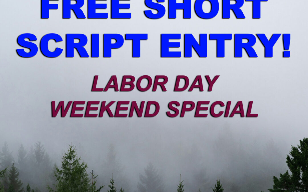 short script insta new