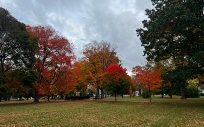 What Conflict Do Screenwriters Avoid?